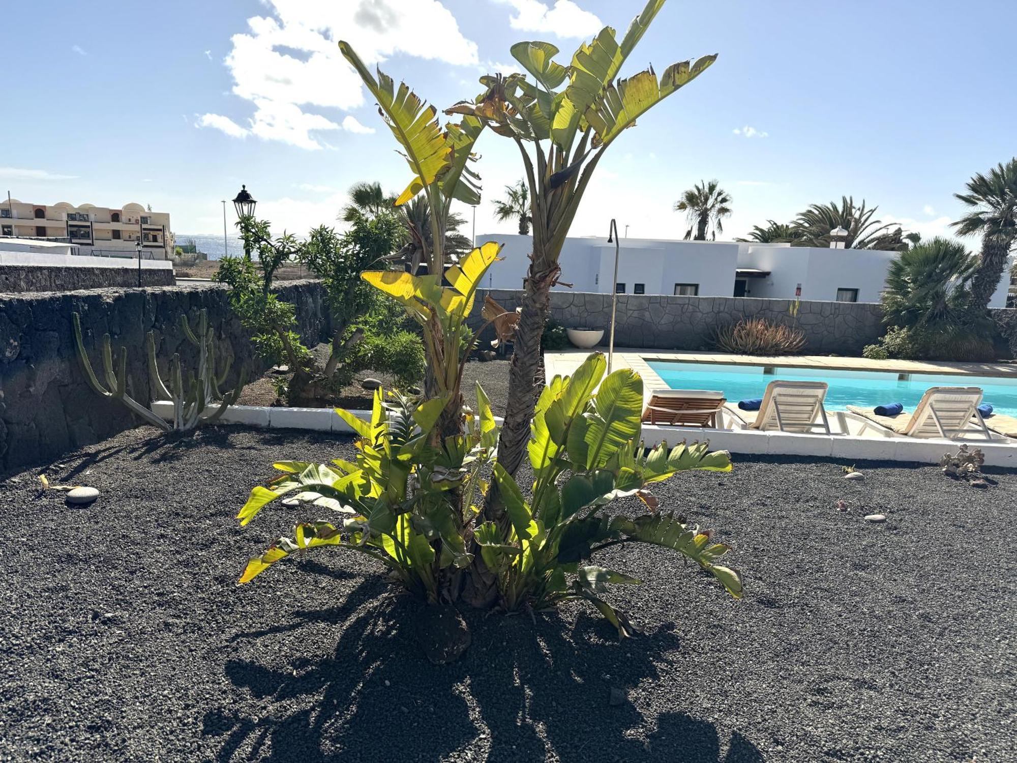 Villa Aguaviva Playa Blanca  Eksteriør bilde